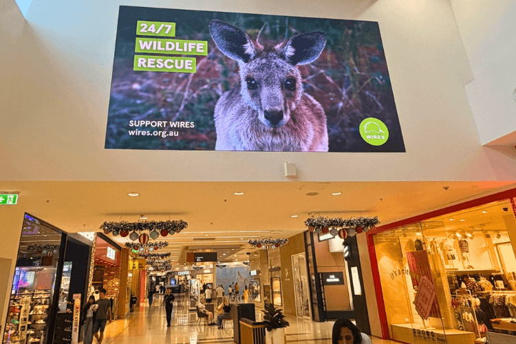 Digital Screens